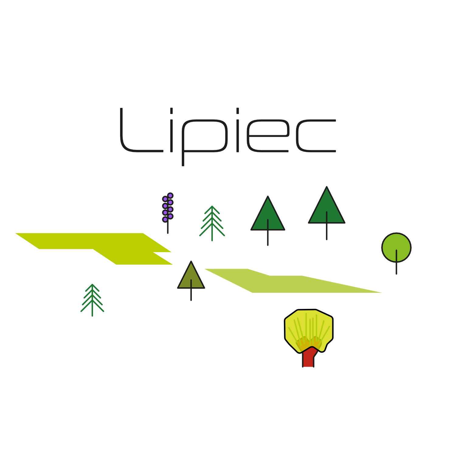 Bocian ilsustracje szczegółowe