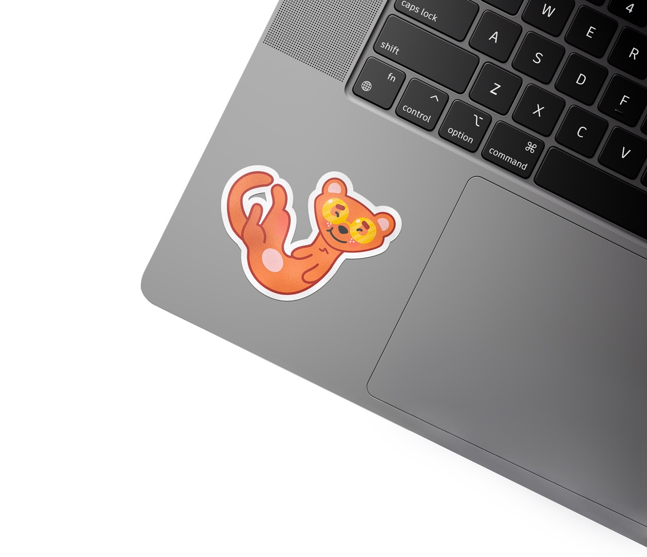 02 Laptop Sticker On Rock Mockup Duży
